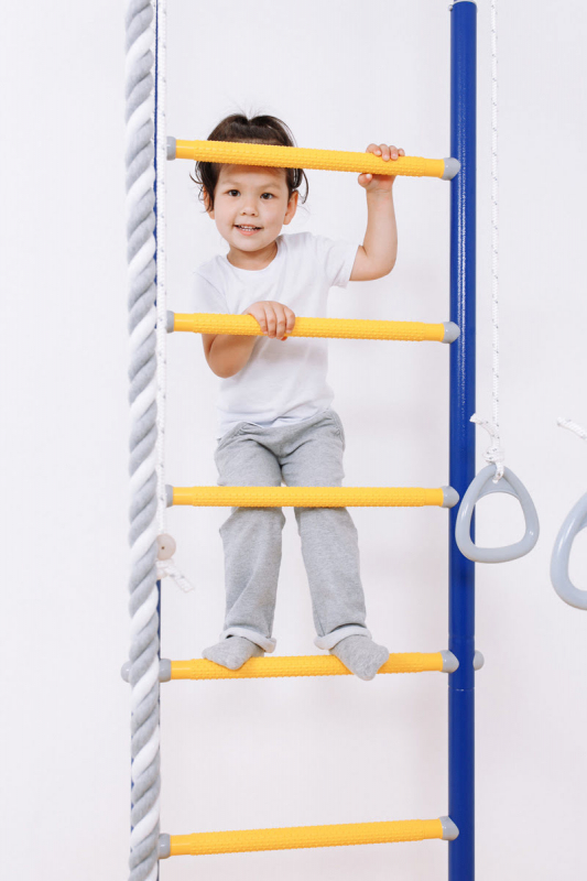 Шведская стенка ROMANA R2 (синяя слива)