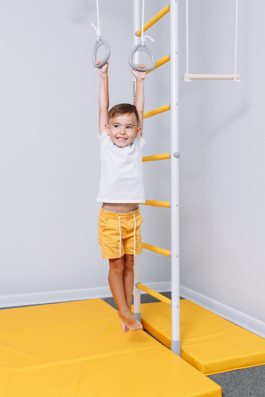 Шведская стенка ROMANA R1 (синяя слива)