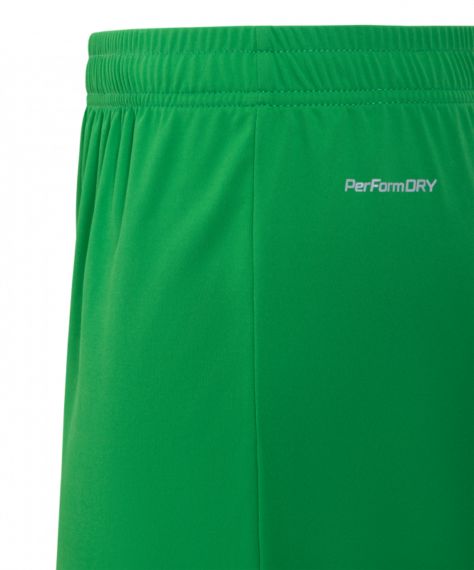 Шорты вратарские JOGEL NATIONAL PerFormDRY GK Shorts, зеленый, размер M ЦБ-00003571