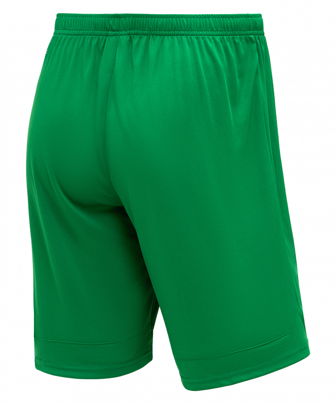 Шорты игровые DIVISION PerFormDRY Union Shorts, зеленый, размер XS, Jögel ЦБ-00003356