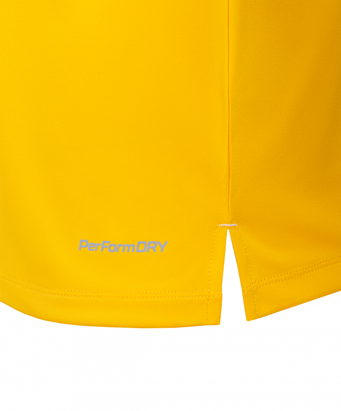 Футболка вратарская JOGEL NATIONAL PerFormDRY GK Jersey, желтый, размер L ЦБ-00003183