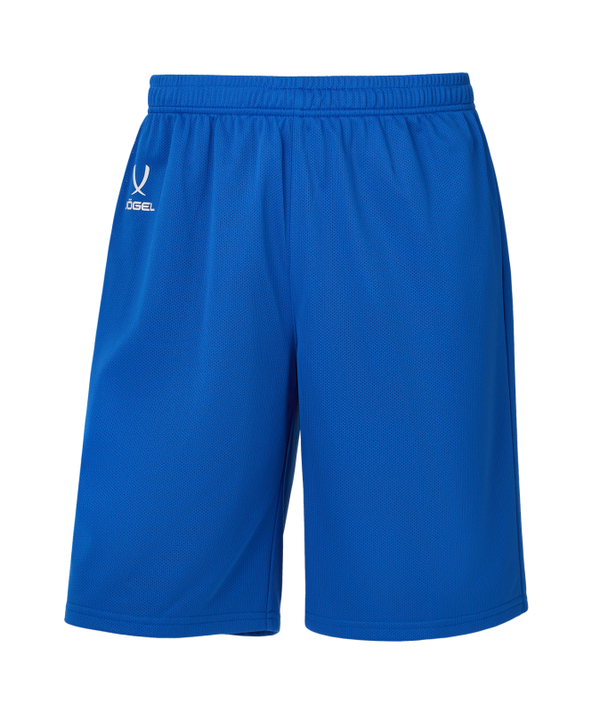 Шорты баскетбольные DIVISION PerFormDRY RBF 2S Shorts, синий, размер L, Jögel ЦБ-00004384