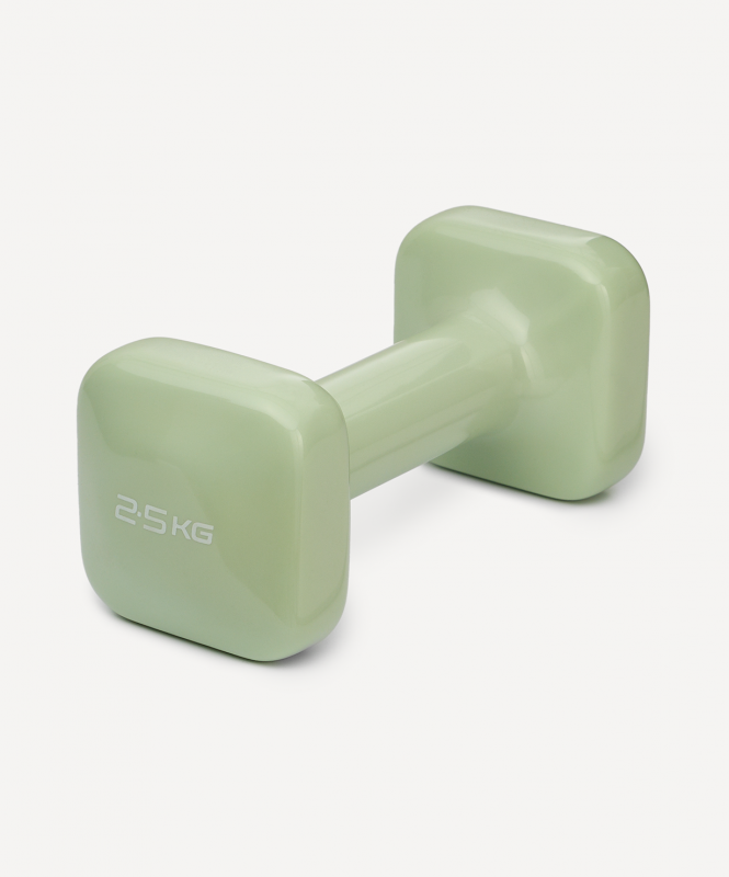 Гантель виниловая DB-106 2.5 кг, оливковый, Starfit ЦБ-00004429