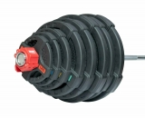 Штанга олимпийская 218 кг (диски с двумя хватами) Original FitTools FT-2HGSET-218