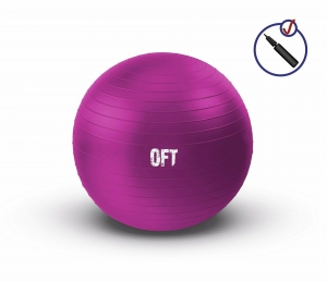 Гимнастический мяч 55 см фуксия с насосом Original FitTools FT-GBR-55FX