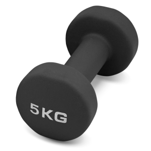Гантель для аэробики неопреновая PRCTZ NEOPRENE DUMBBELL, 5 кг