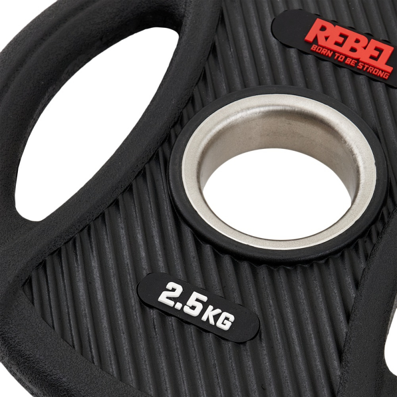 Диски олимпийские обрезиненные с двумя хватами 2.5 кг REBEL (пара) R-PVP-2.5-PAIR