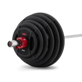 Штанга олимпийская 175 кг REBEL (диски с двумя хватами, хромированный гриф нагрузка до 315 кг) R-OLYSET-175