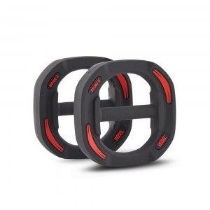 Диски 2.5 кг для памп-штанги для аэробики REBEL R-SMRTP (пара) R-SMRTD-2.5-PAIR