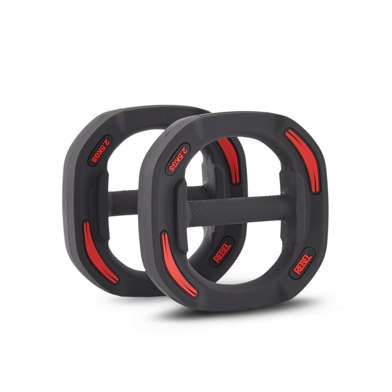 Диски 2.5 кг для памп-штанги для аэробики REBEL R-SMRTP (пара) R-SMRTD-2.5-PAIR