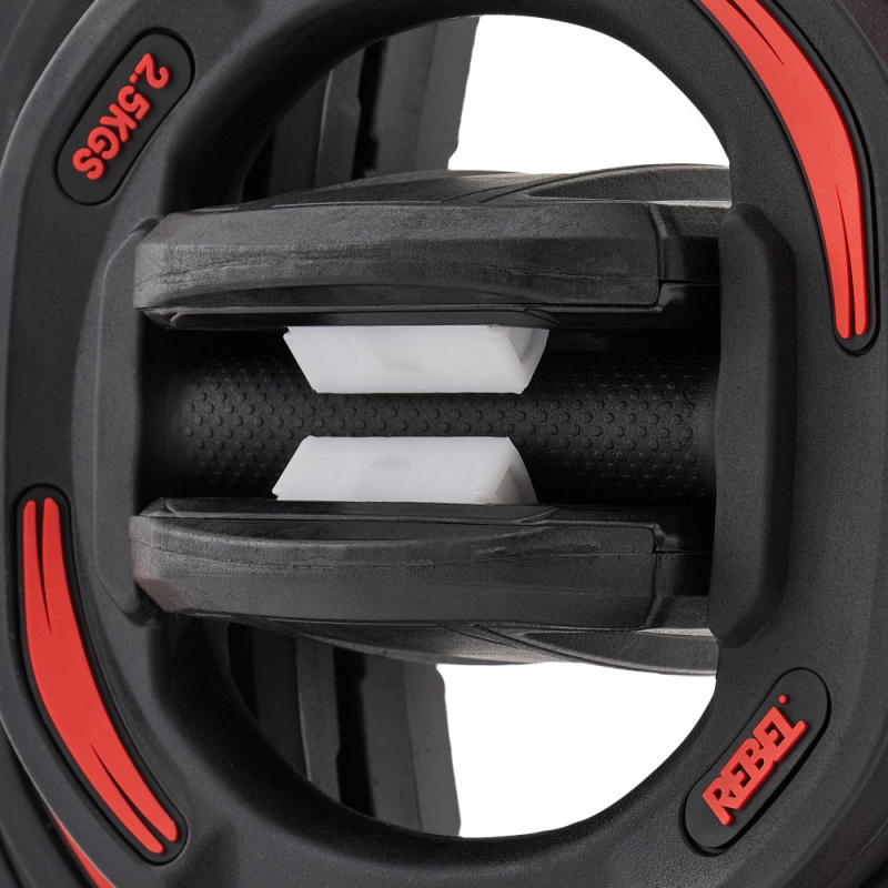 Диски 2.5 кг для памп-штанги для аэробики REBEL R-SMRTP (пара) R-SMRTD-2.5-PAIR