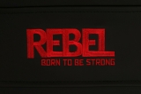Многофункциональный тренажер REBEL-G7 RHG07