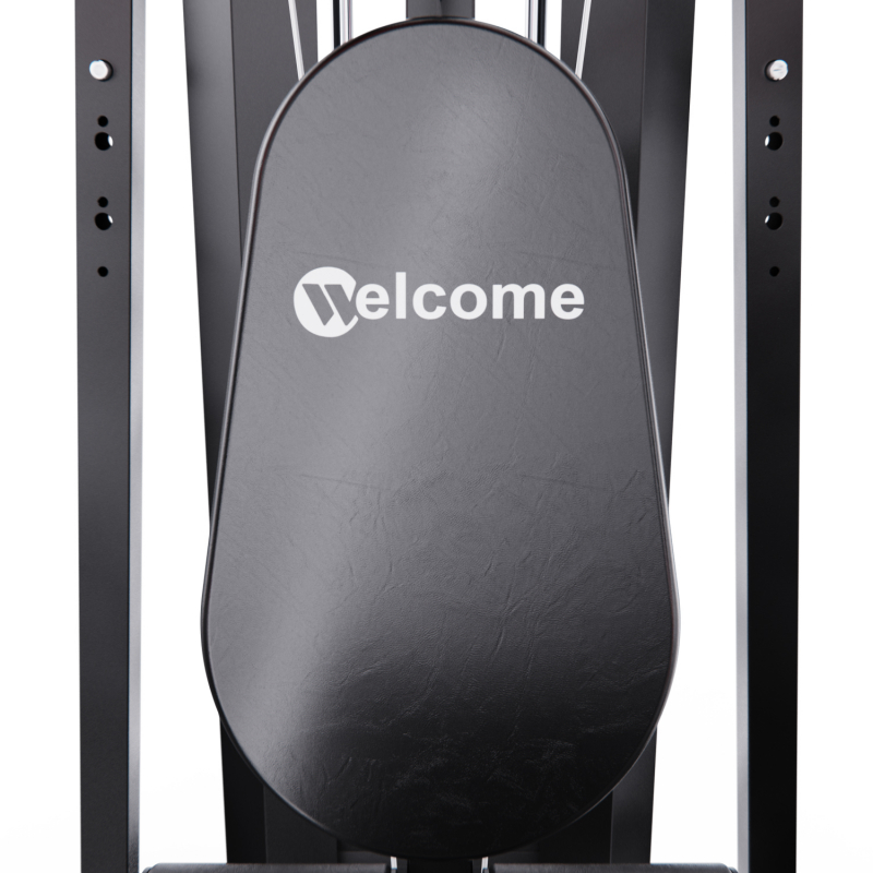 Силовой комплекс DFC WRK-5000