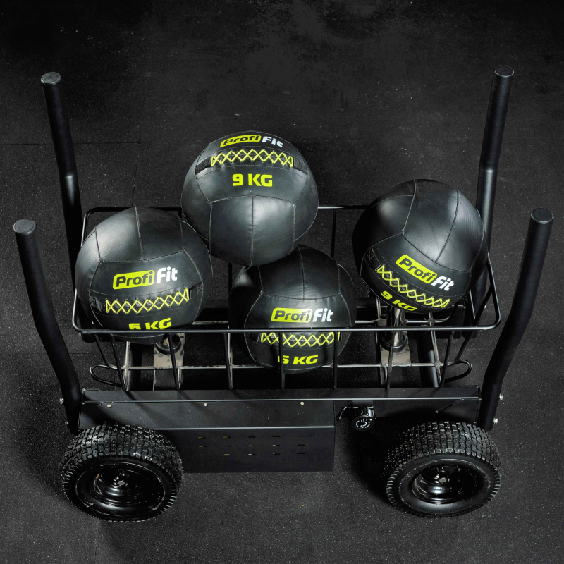 Сани-тележка для функционального тренинга (Тренажер Tank) TANG TANGEN