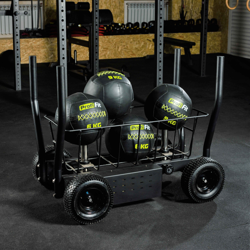 Сани-тележка для функционального тренинга (Тренажер Tank) TANG TANGEN