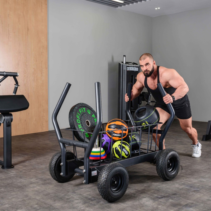 Сани-тележка для функционального тренинга (Тренажер Tank) TANG TANGEN