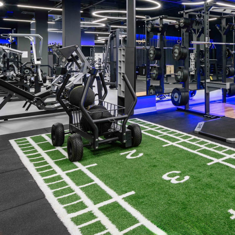 Сани-тележка для функционального тренинга (Тренажер Tank) TANG TANGEN