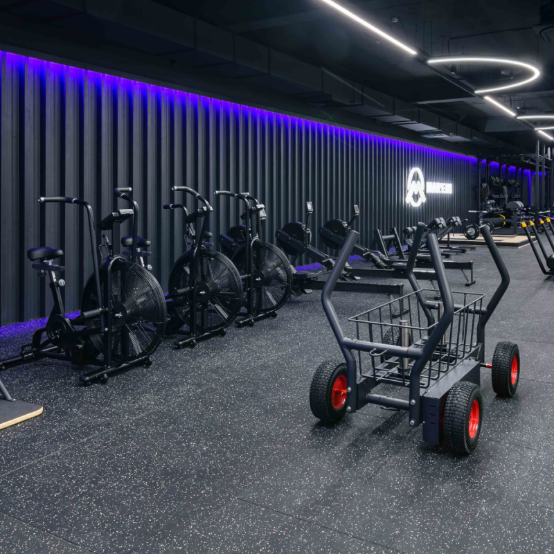 Сани-тележка для функционального тренинга (Тренажер Tank) TANG TANGEN