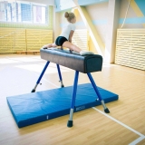 Мат гимнастический (ПВХ 630, без поролона) 1x2x0.1 м ZAVODSPORTA