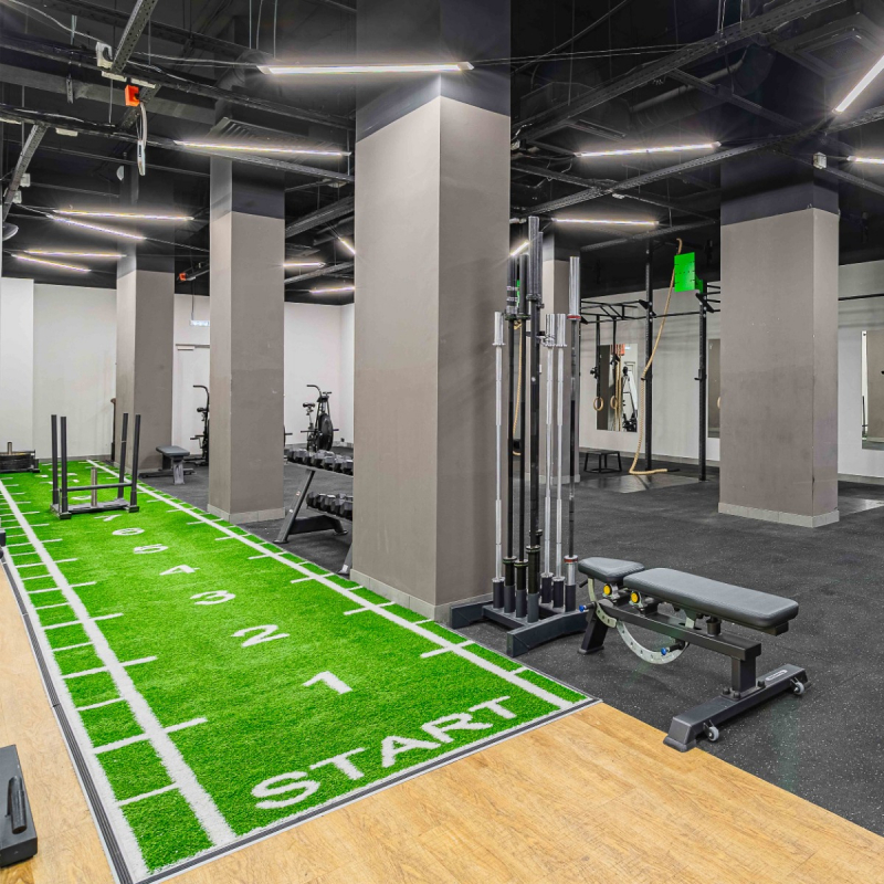 Искусственный газон (трава) для функционального тренинга с разметкой 2x15 TANG TANGEN