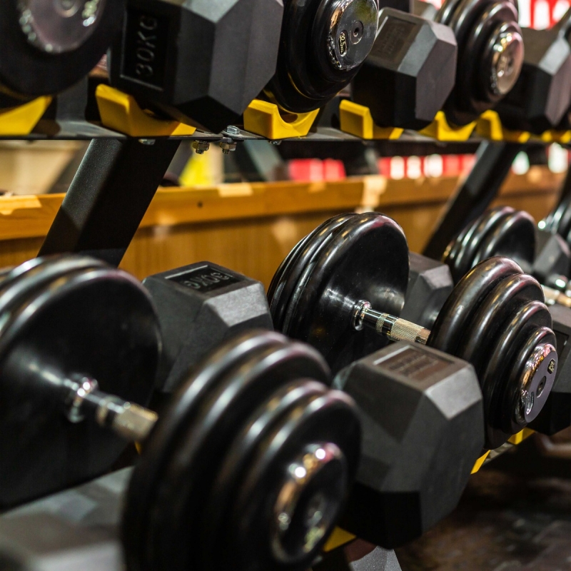 Гантельный ряд BASIC (шаг 2.5 кг, 10 пар) PROFI-FIT 27.5-50 кг*