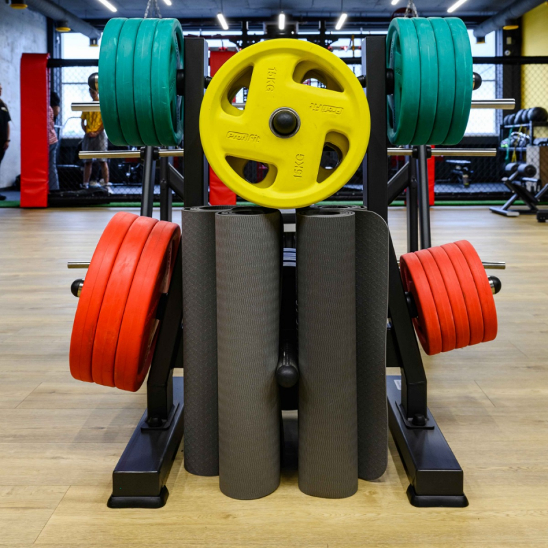 Диск обрезиненный FASSION цветной D51 мм PROFI-FIT 5 кг