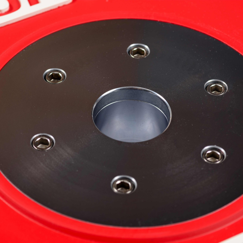 Диск профессиональный обрезиненный HARD цветной D51 мм PROFI-FIT 25 кг