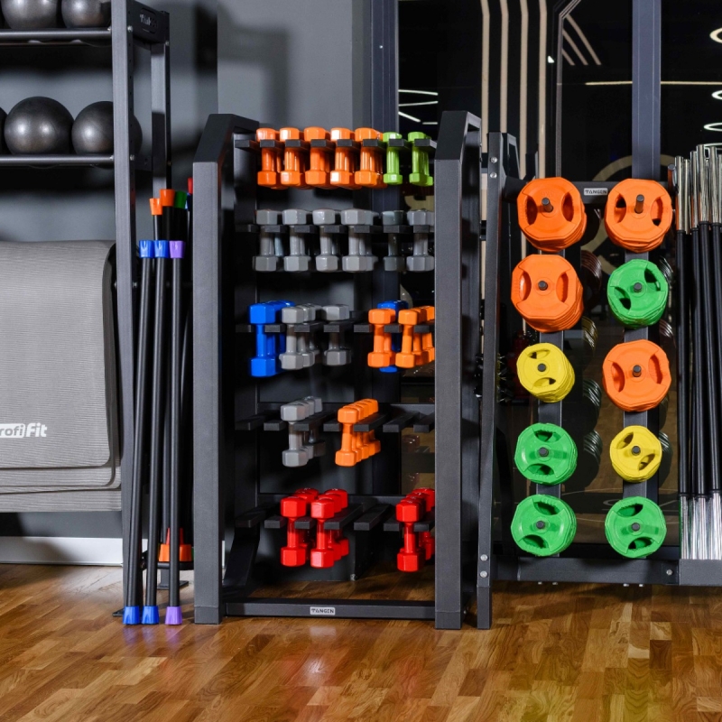 Стойка для гантелей (на 60 пар, вертикальная) TANGEN A2510