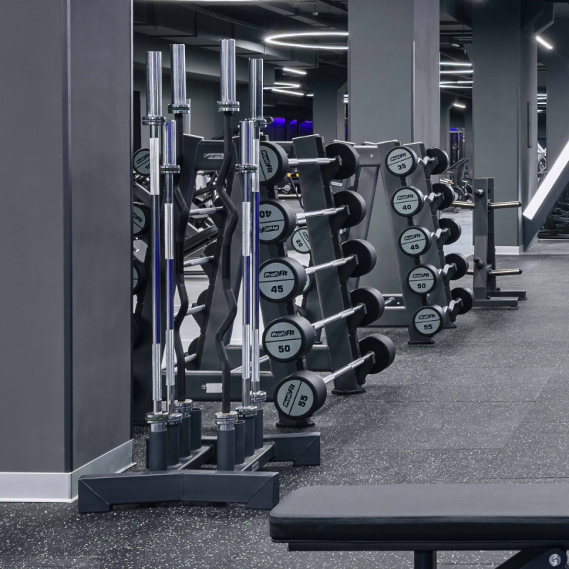 Вертикальный держатель для олимпийских грифов (на 8 шт) TANGEN A3010