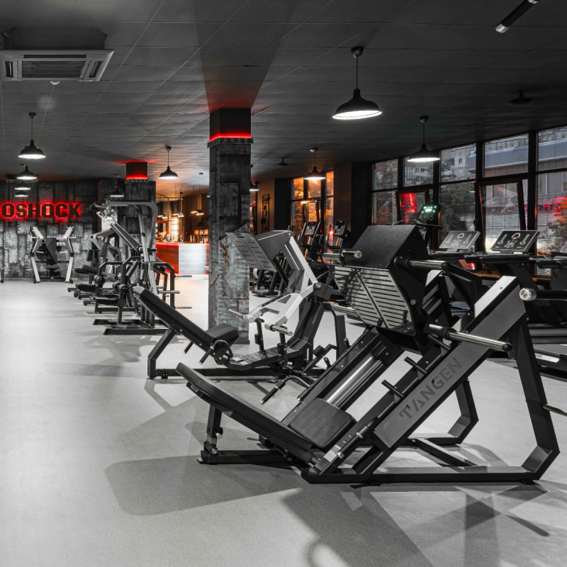 Жим ногами A3056-AL TANGEN