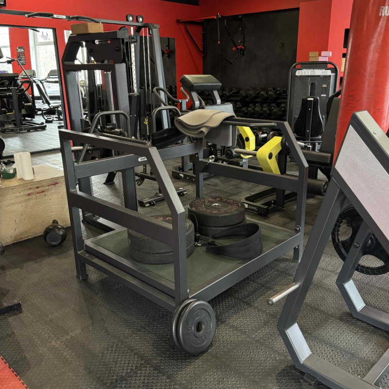 Приседания с поясом A3067 TANGEN