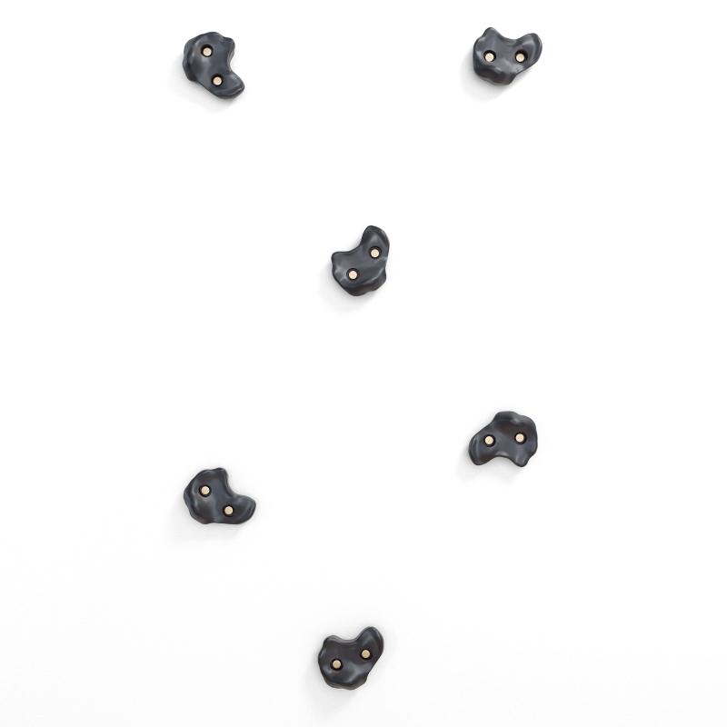 Комплект зацепов для лазания 6 штук (черный) ROMANA Dop22