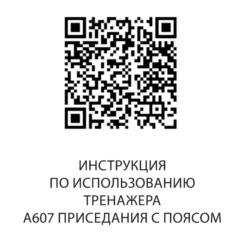 Приседания с поясом A607 DHZ Fitness