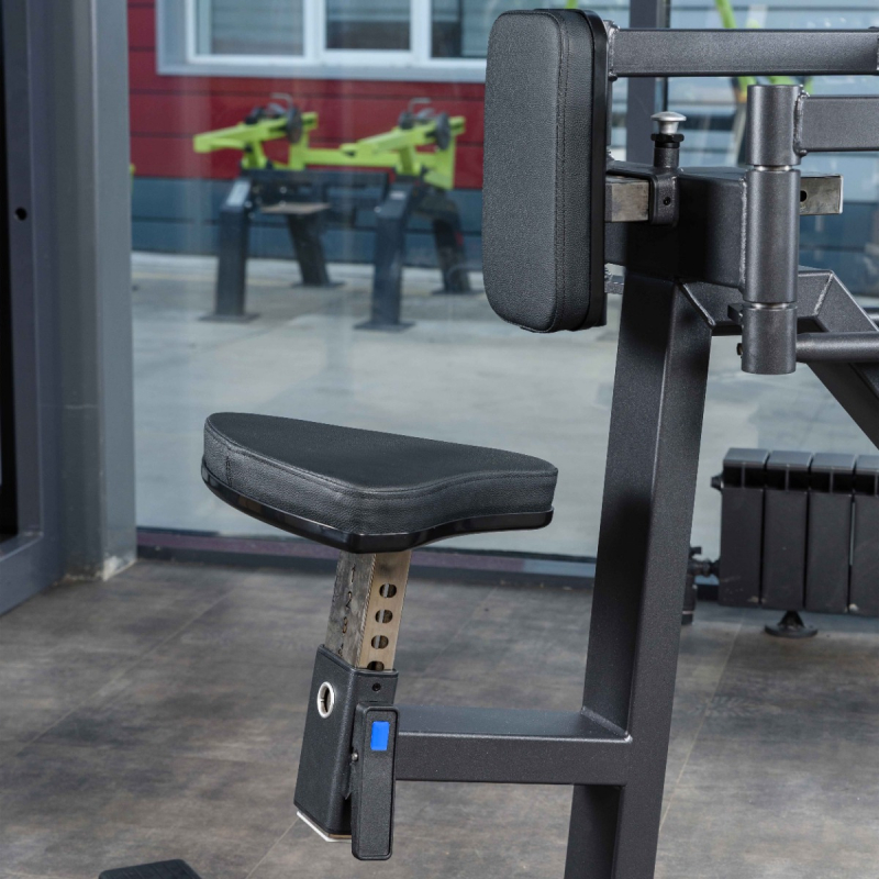 Разведение рук сидя (задние дельты, спина) A618 DHZ Fitness