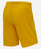 Шорты игровые DIVISION PerFormDRY Union Shorts, желтый, размер L, Jögel ЦБ-00003355