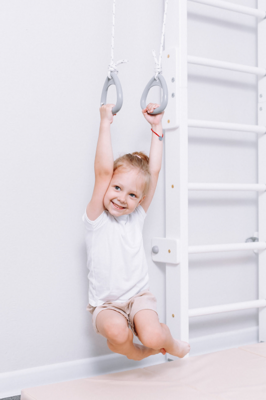 Шведская стенка ROMANA Eco2.1