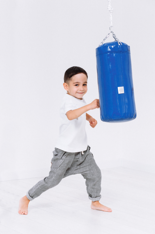 Мешок боксерский (5кг) + Подвес для боксерских мешков Romana