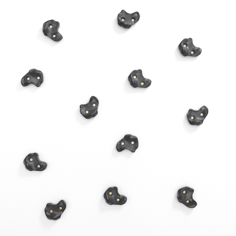 Комплект зацепов для лазания 12 штук (черный) ROMANA Dop23