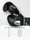 Боксерские перчатки GYM черные Green Hill BGG-2018 16oz