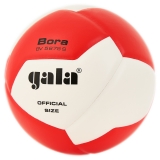 Мяч волейбольный GALA Bora 12 BV5675S, размер 5