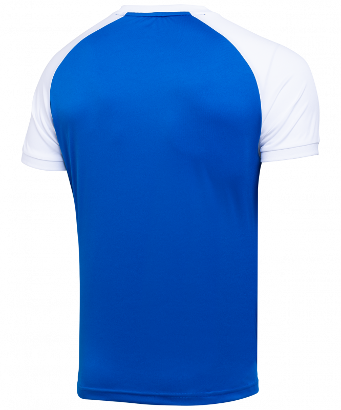 Футболка игровая CAMP Reglan Jersey, синий/белый, детский, размер YL, Jögel УТ-00016199