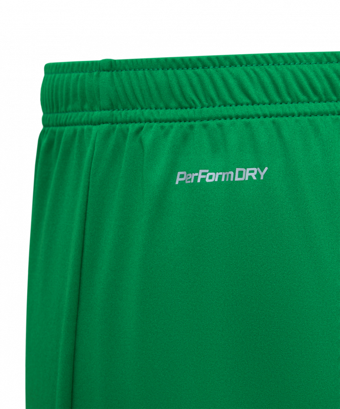 Шорты игровые DIVISION PerFormDRY Union Shorts, зеленый, размер XS, Jögel ЦБ-00003356