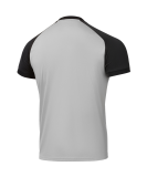 Футболка игровая CAMP Reglan Jersey, серый, детский, размер YM, Jögel ЦБ-00004684
