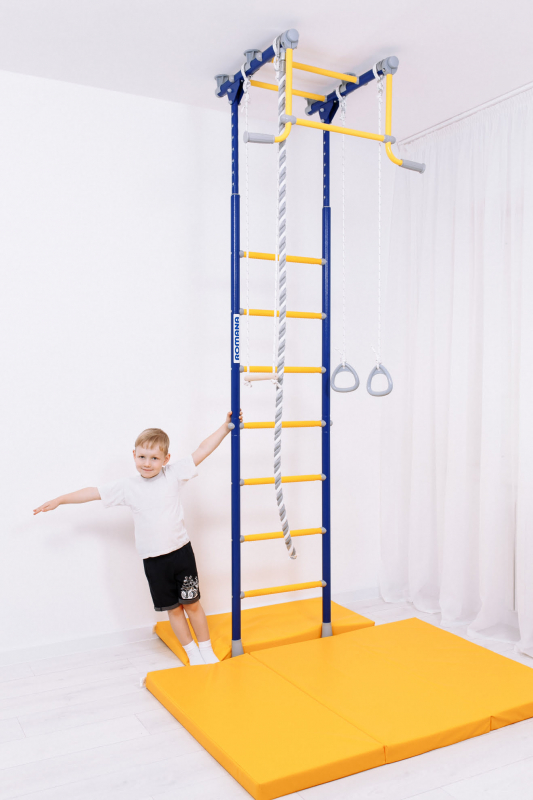 Шведская стенка ROMANA R2 (синяя слива)