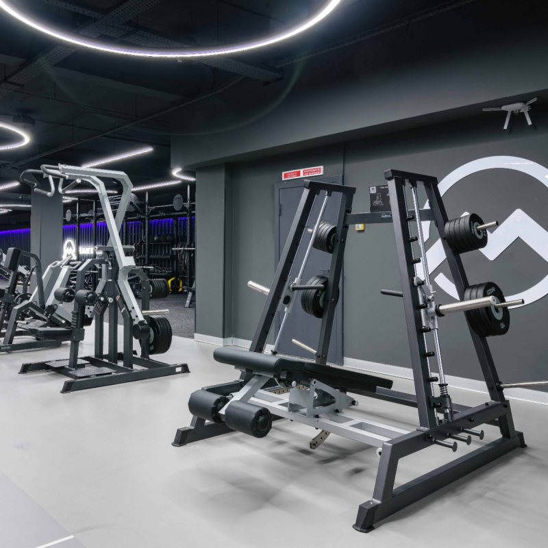 Тяга сверху через стороны D610 DHZ Fitness