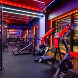 Наклонный жим от груди, рычаги серые D915 DHZ Fitness