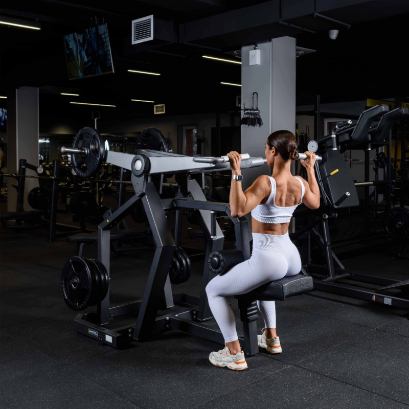 Вертикальная тяга, рычаги серые D920 DHZ Fitness