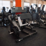 Бицепс-машина сидя, рычаги серые D970 DHZ Fitness