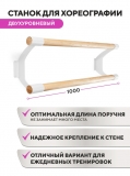 Настенный двухуровневый балетный станок Эстетика HOME (Белый (RAL 9003 Ш)) STECTER 516