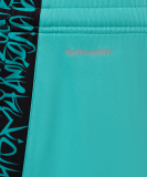 Шорты игровые JOGEL AMKAL PerFormDRY Shorts, бирюзовый/черный, размер L ЦБ-00004460